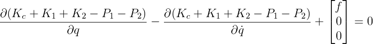 Euler Lagrange equation